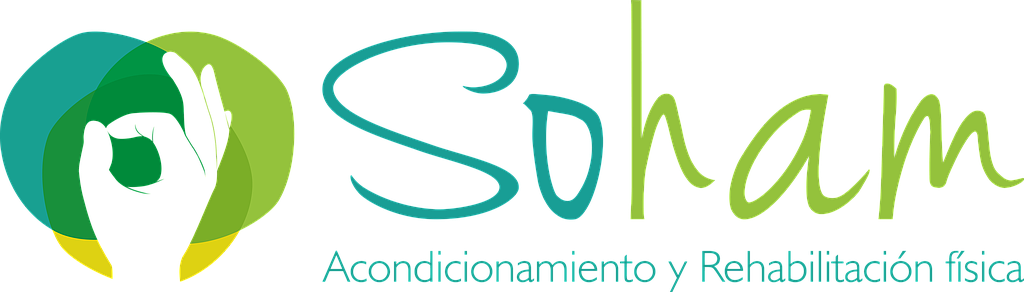 SOHAM IPS