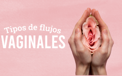 Tipos de flujos vaginales: cuidados y señales de alerta para visitar un ginecólogo