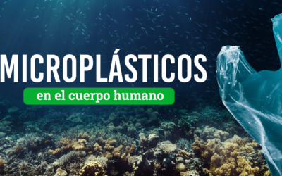 Cómo los microplásticos están afectando el cuerpo humano