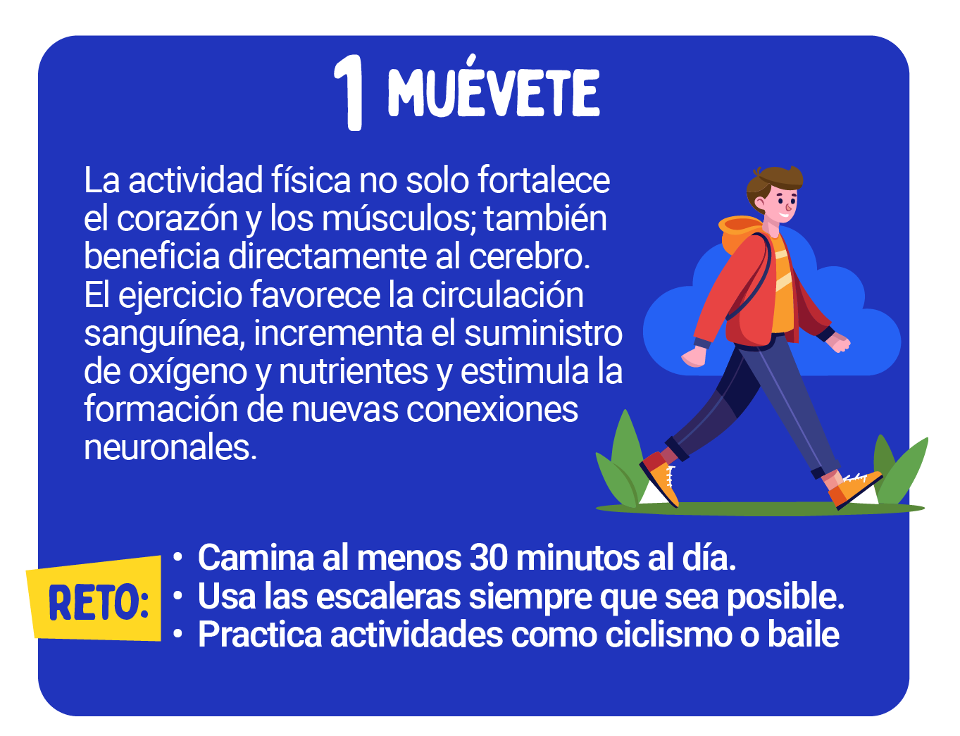 INFOGRAFIA CEREBRO-03