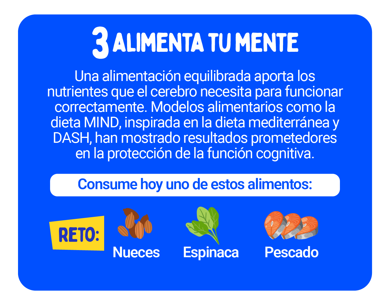 INFOGRAFIA CEREBRO-05