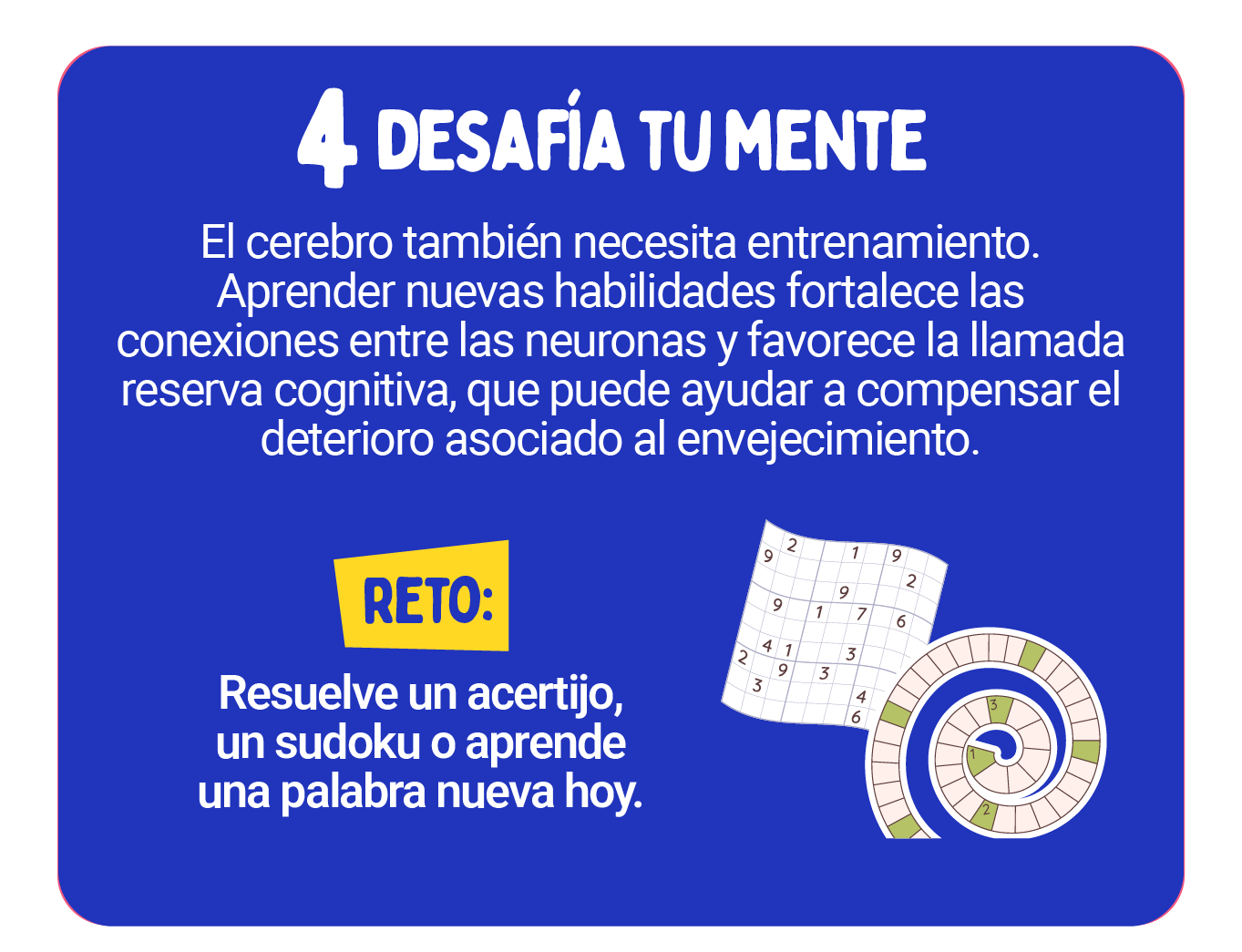 INFOGRAFIA CEREBRO-06