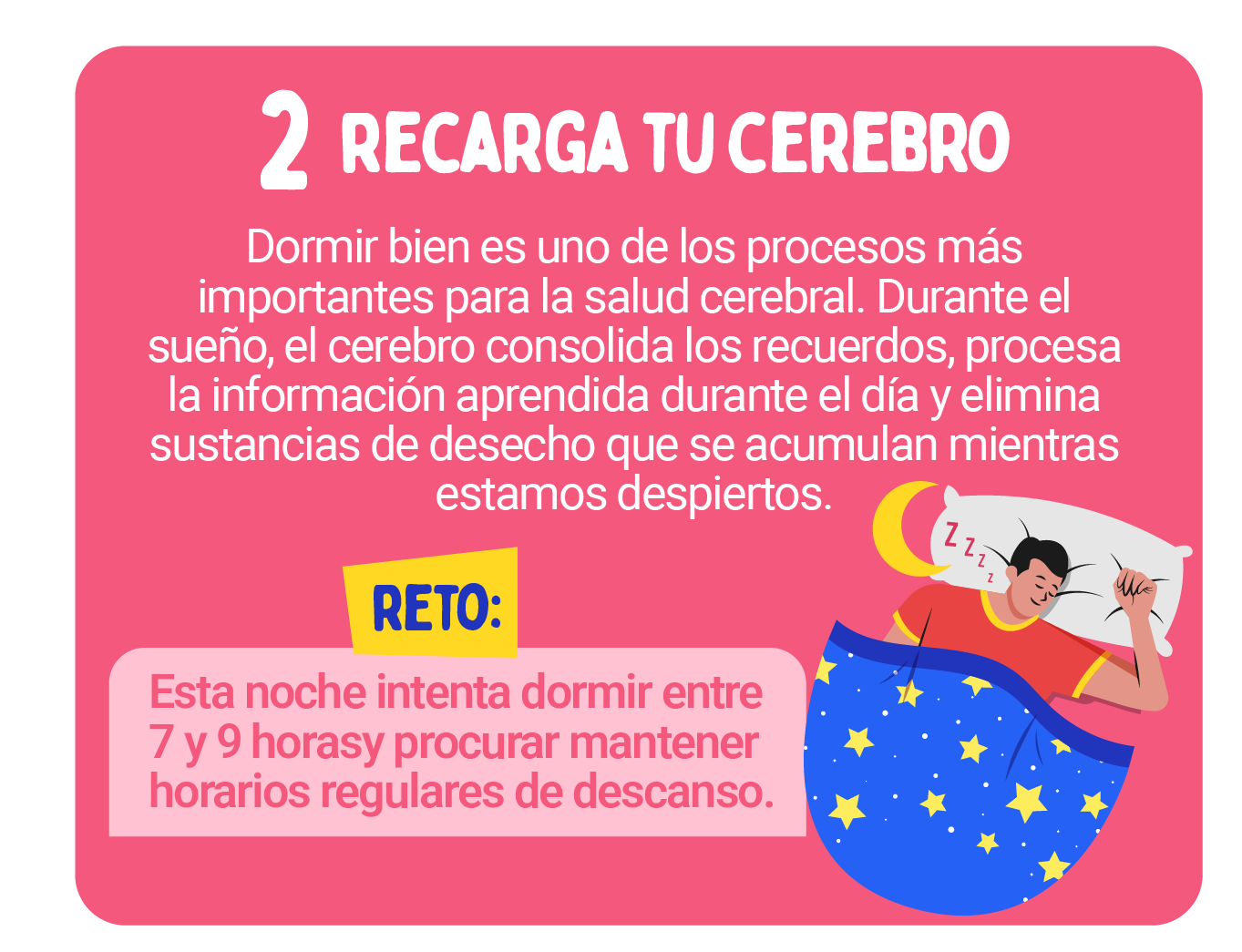 INFOGRAFIA CEREBRO