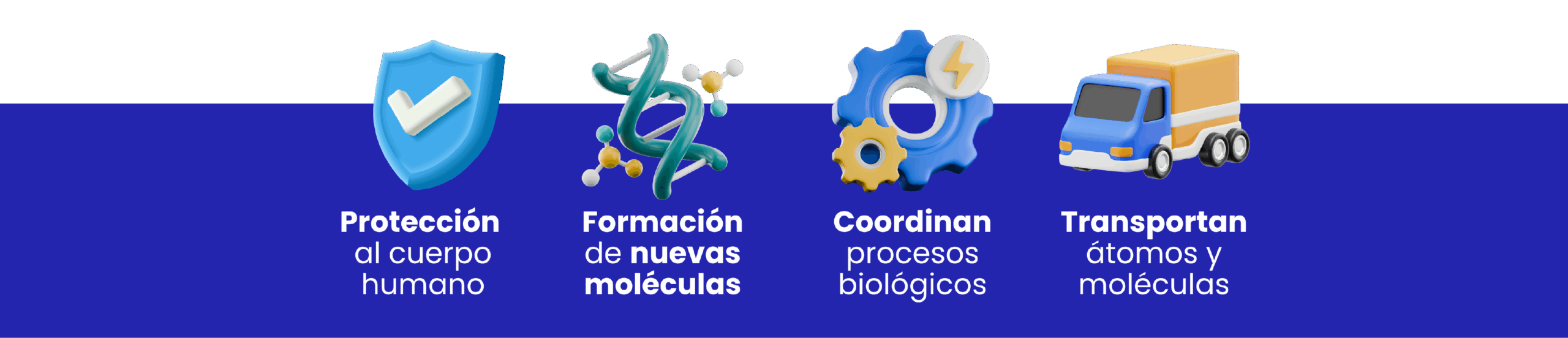 DISEÑO BLOG PROTEINAS
