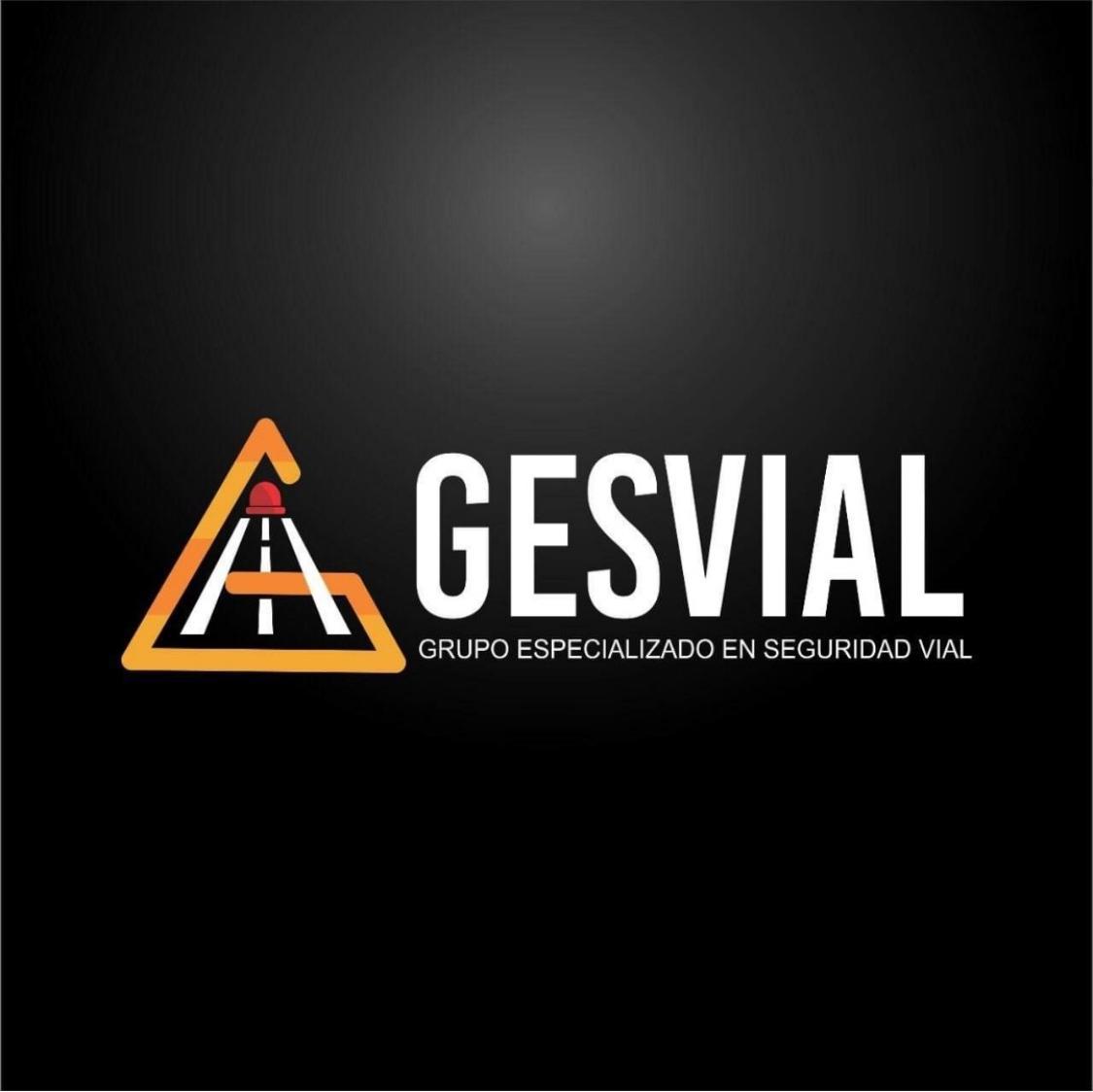 21f8d400-GESVIAL_SAS.jpeg